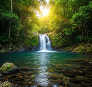 cascade guadeloupe nature